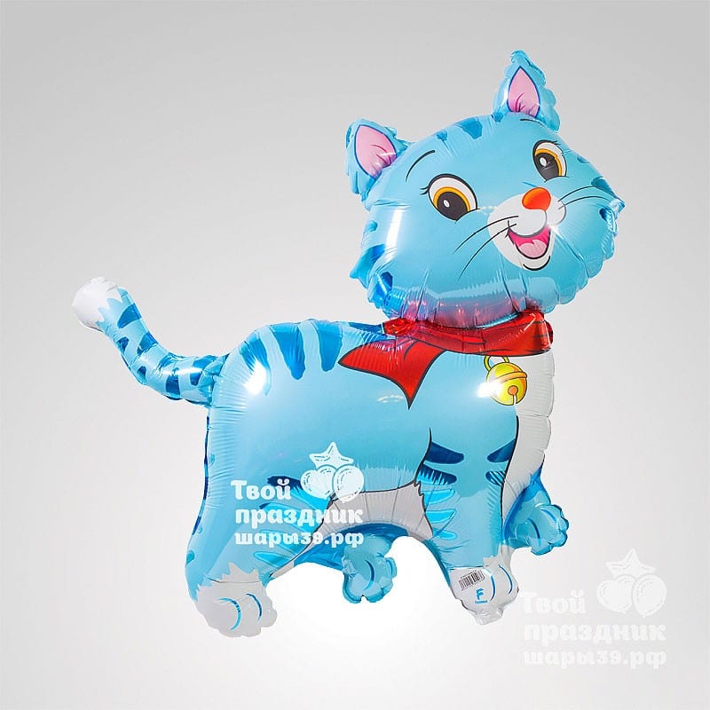 Котик - фольгированный шар. Шары39.рф