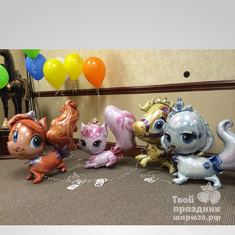 Королевские питомцы - Тыковка. Шары39.рф