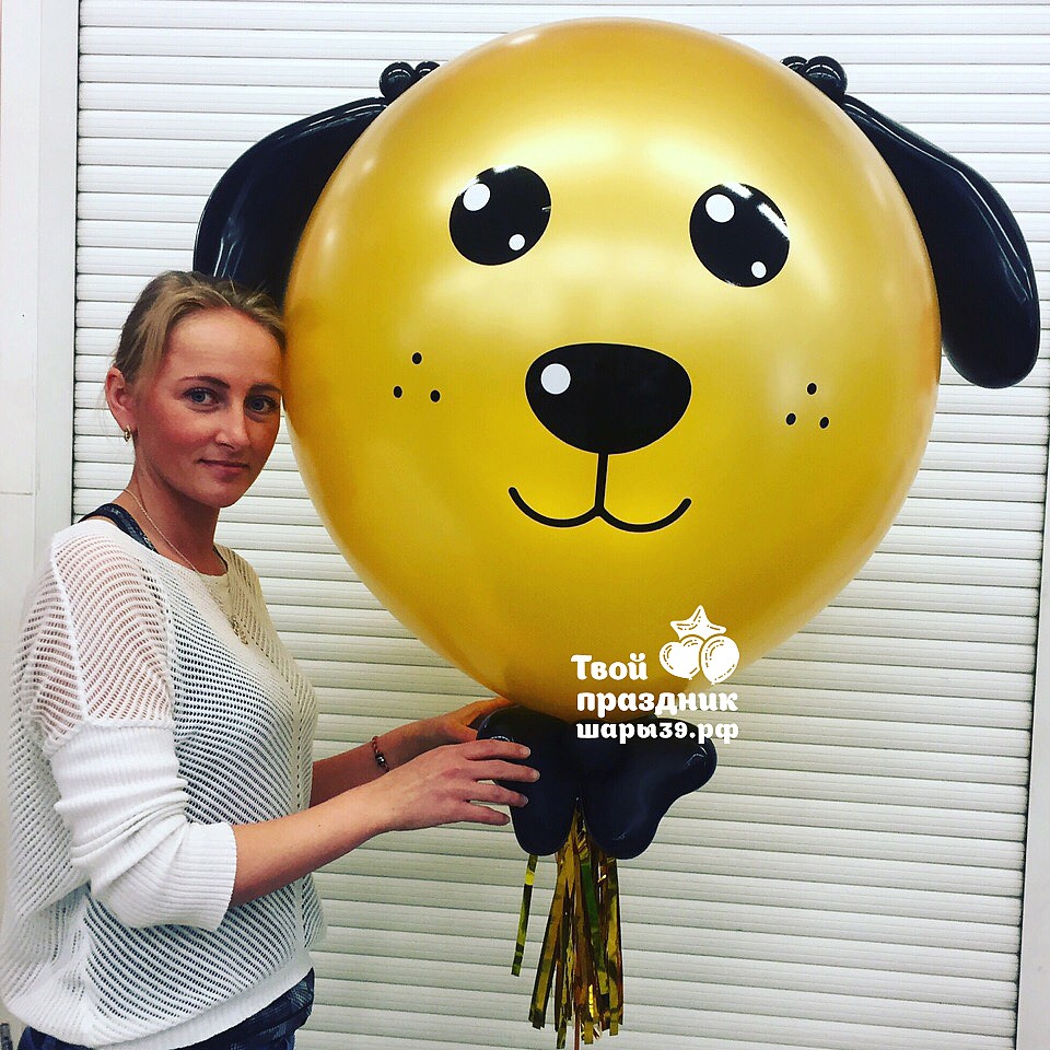 Большой шар фигура Пёсик. Шары39.рф