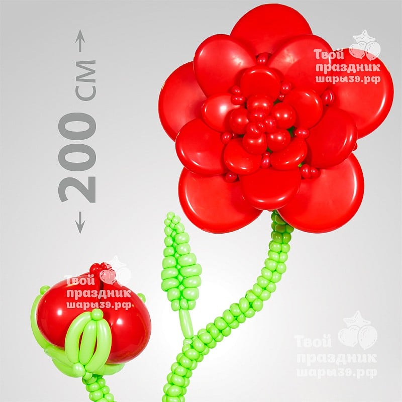 Большой цветок на каркасе! Оформление праздника, фотозона в Калининграде! Шары39.рф, Звоните нам 52-01-67