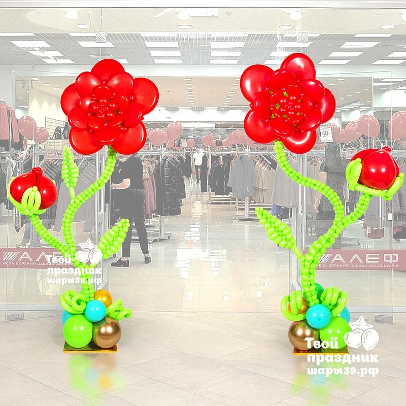 Колонны на Открытие магазина, Шары39.рф