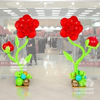Колонны на Открытие магазина, Шары39.рф