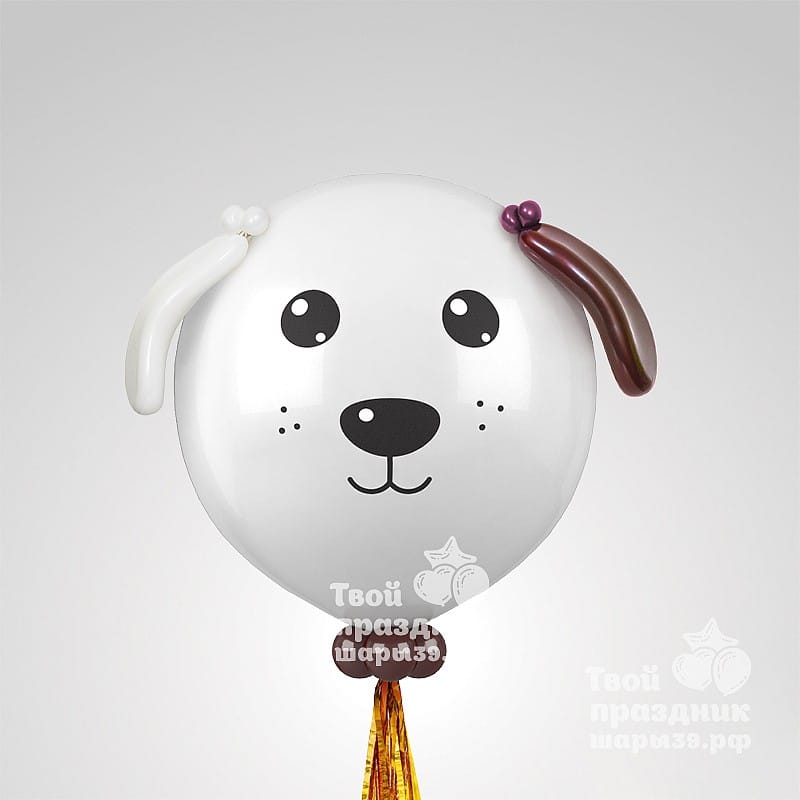 Большой шар фигура Пёсик. Шары39.рф