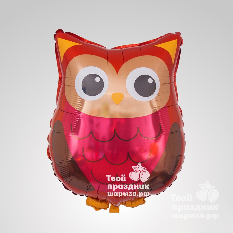 Сова - фольгированный шар. Шары39.рф, Калининград