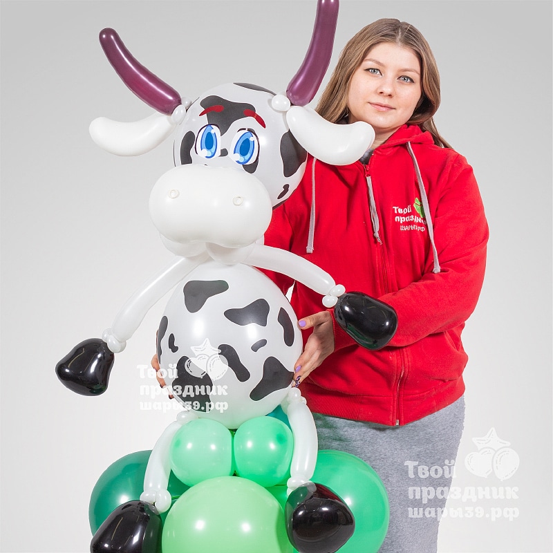 Бычок из воздушных шаров, корова из шарриков. Шары39.рф