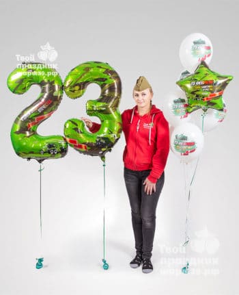Комплект оформления праздника 23 февраля. Шары39.рф
