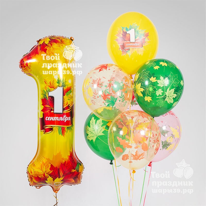 Набор шаров с цифрой на 1 сентября. Шары39.рф