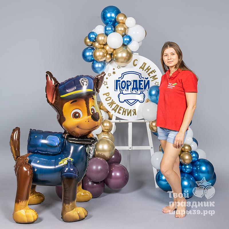 Мини Фотозона Щенячий патруль. Шары39