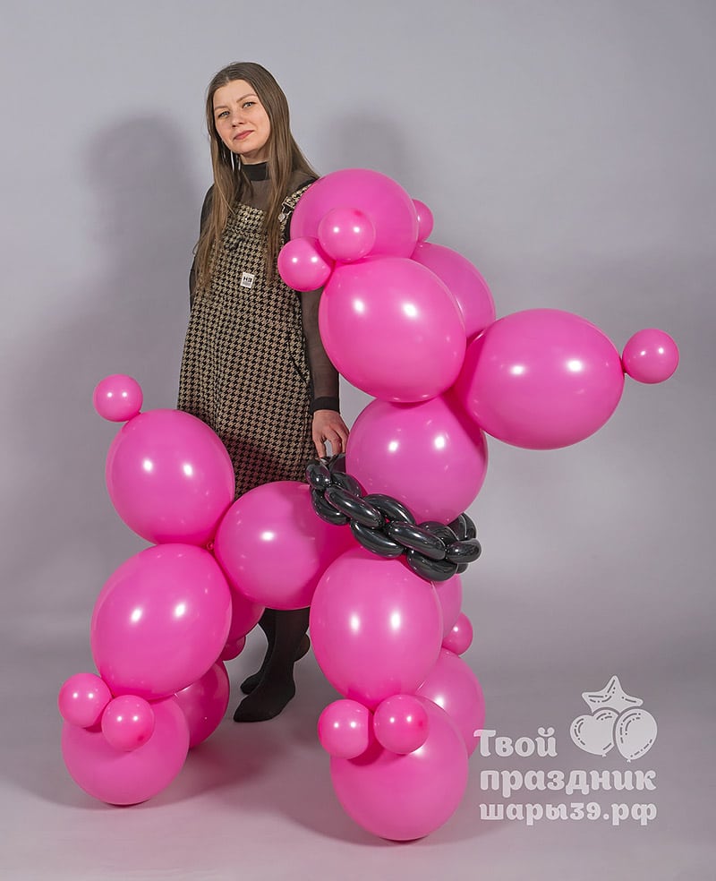 Balloon Dog - Легендарная собачка из воздушных шаров — изображение 4