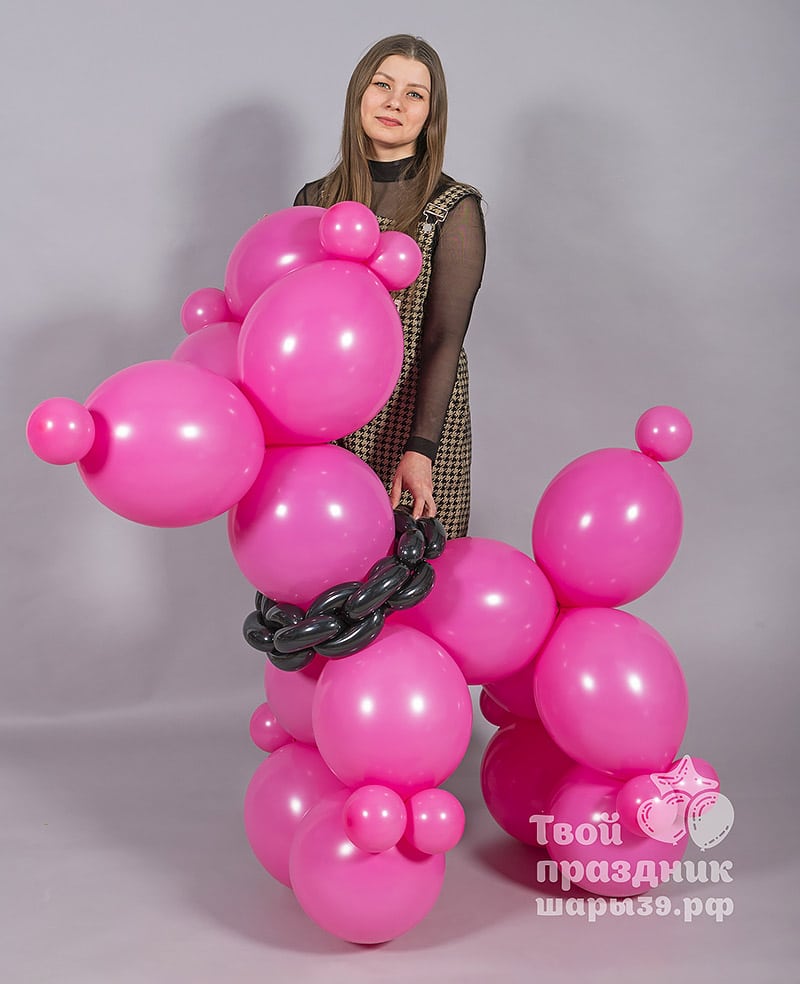 Balloon Dog - Легендарная собачка из воздушных шаров — изображение 6
