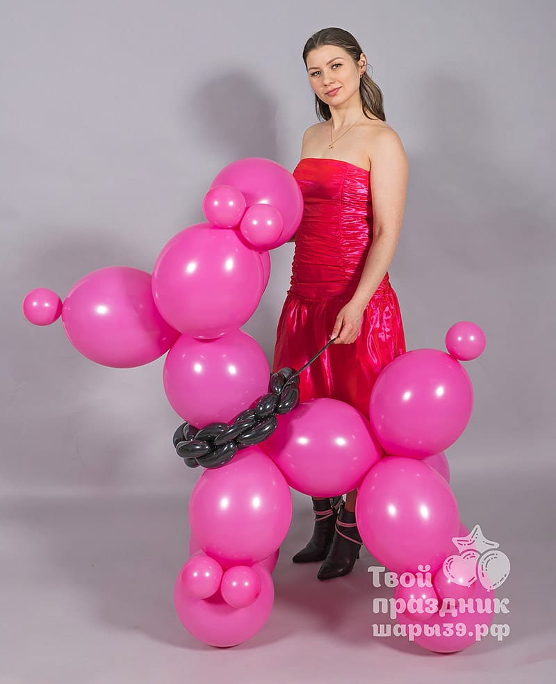 Balloon Dog - Легендарная собачка из воздушных шаров — изображение 3
