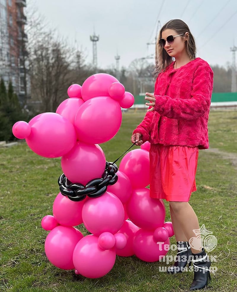 Balloon Dog - Легендарная собачка из воздушных шаров — изображение 5