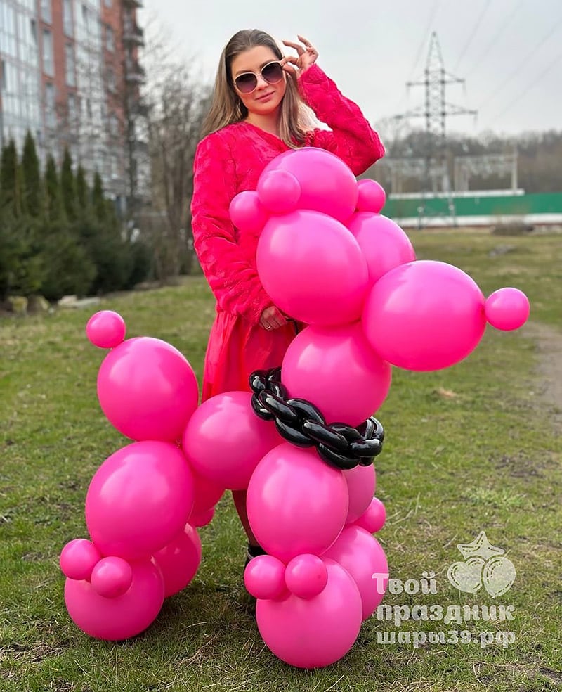 Комплект оформления с большой легендарной собачкой из шаров «BalloonDog» в розовых тонах — изображение 3